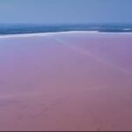 Not just in Yucatan!  Tamaulipas also has a pink lagoon